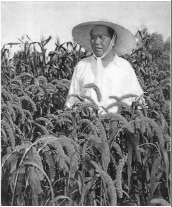 �����ë����ϯ����ʱ�ڵ���Ƭ����ȳ���63��