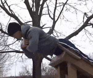 �����գ�����һ��������ɽ��ͦ����������������������ȶ�