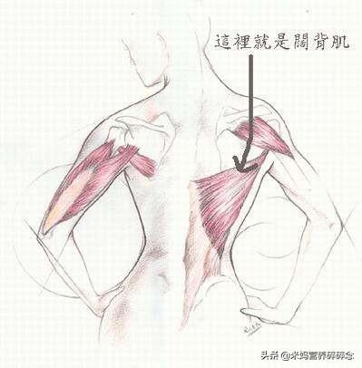 ���Ӿ�����Ķ���ħ����1�����������⡢�����ձ�˦��̬