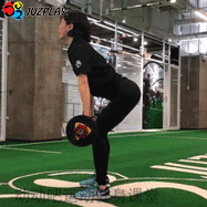 ����ȱ�ٵ������ر�����������������