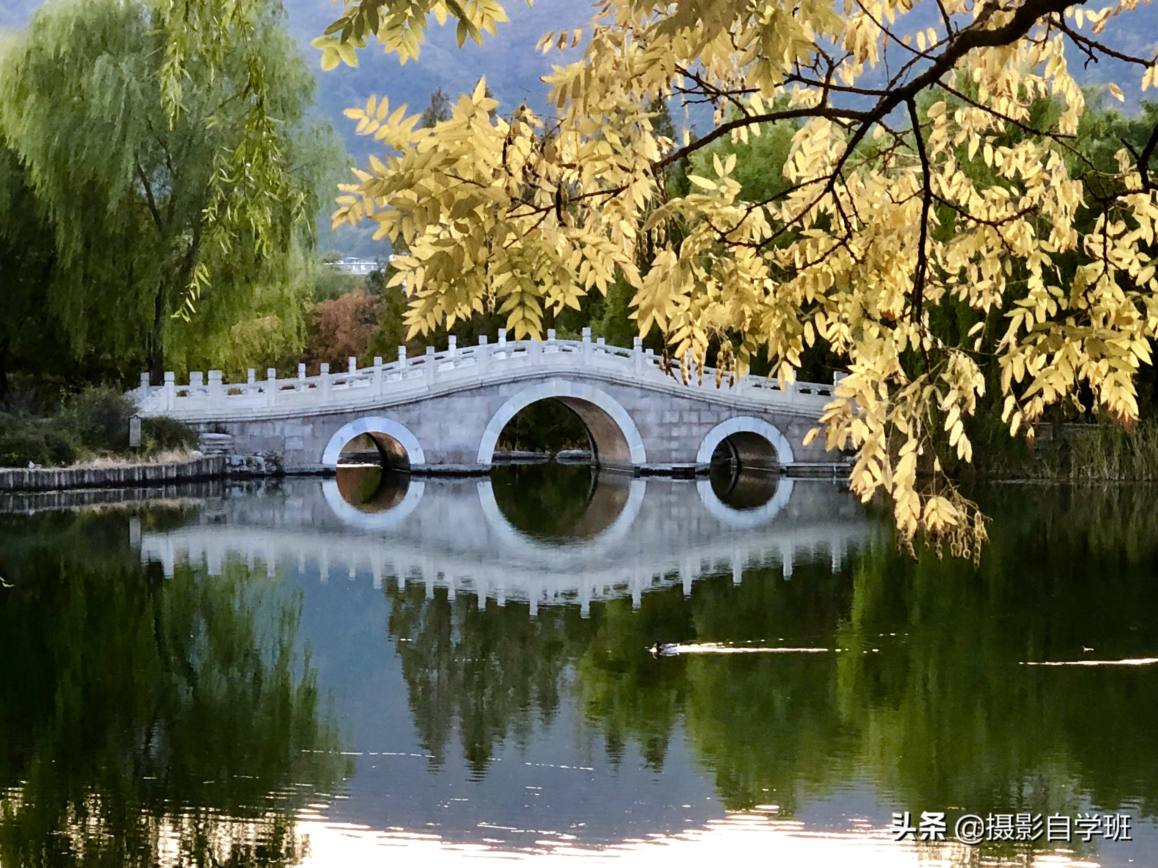 26����Ҷ��Ӱ��Ʒ����Ҫ����Ҷ��Ӱ����ȫ���������ð�������