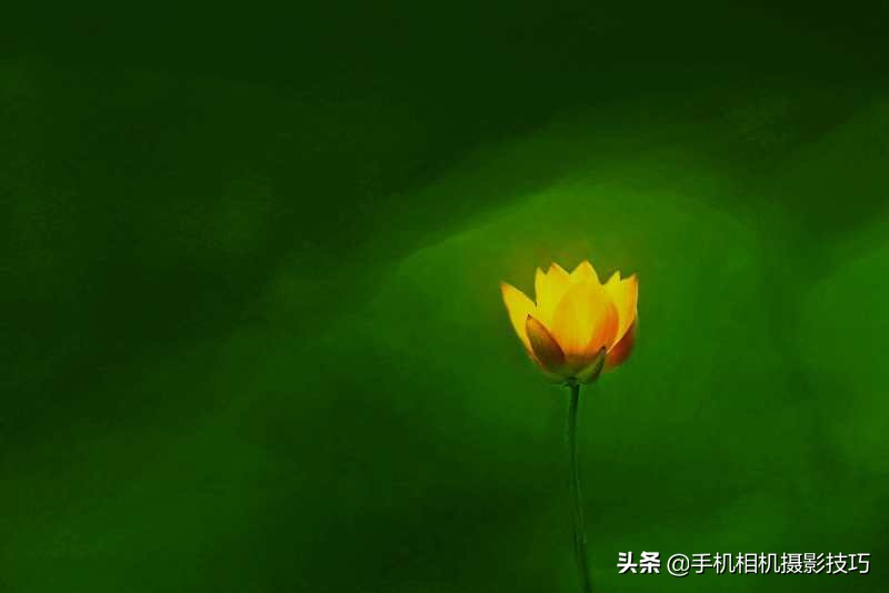 ��15�����Ӹ����㣬��Ƭ�������绨��Ҳ���Դ���