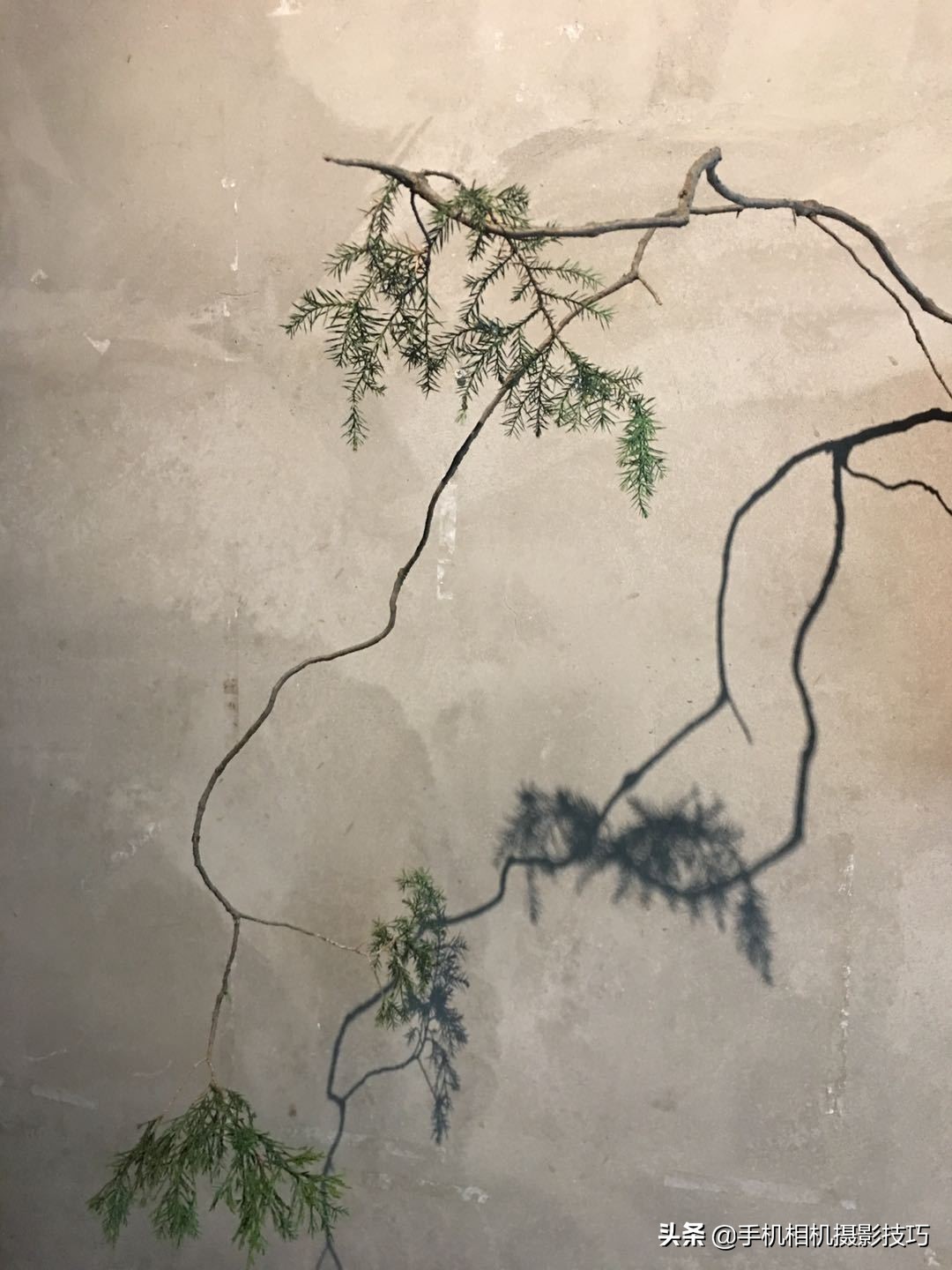 ��15�����Ӹ����㣬��Ƭ�������绨��Ҳ���Դ���