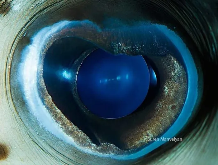 ���㷽�����ܣ�������ʿ��¼�ϰ�˫�۾�����ǳ���