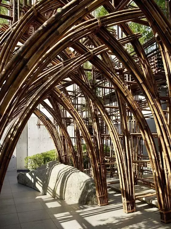 ���ӵ�����