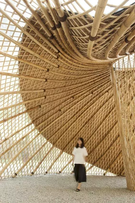 ���ӵ�����