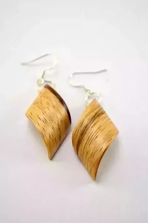 ���ӵ�����