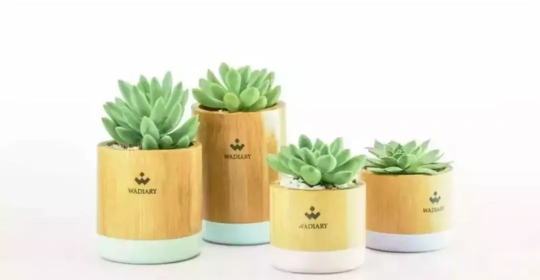 ���ӵ�����