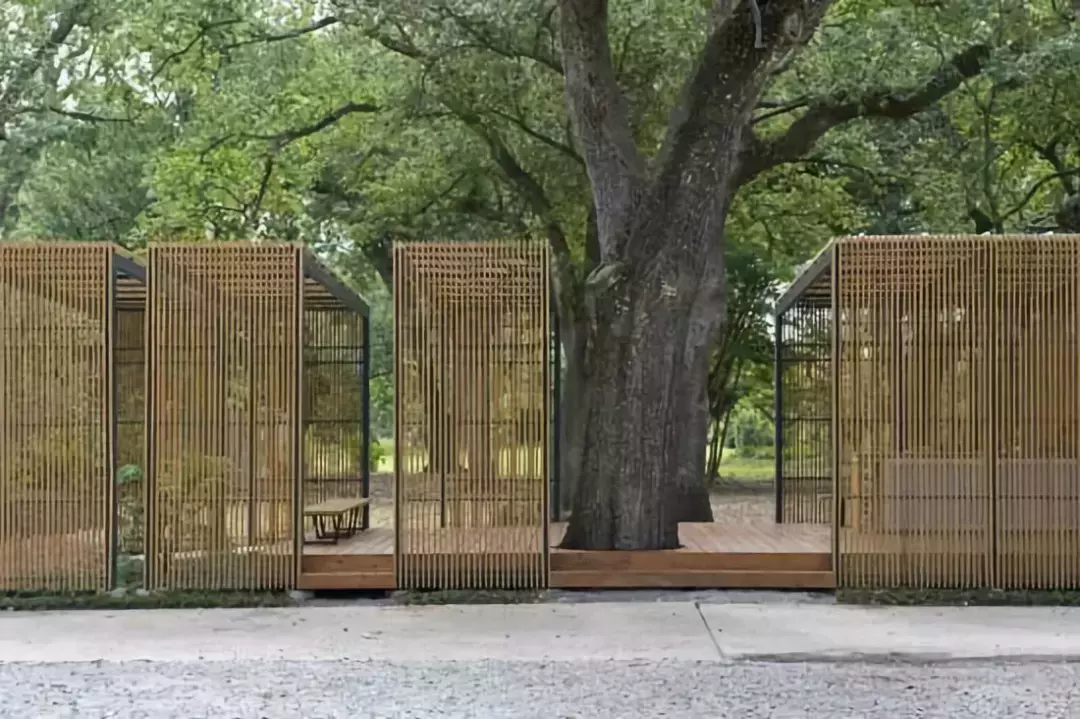 ���ӵ�����