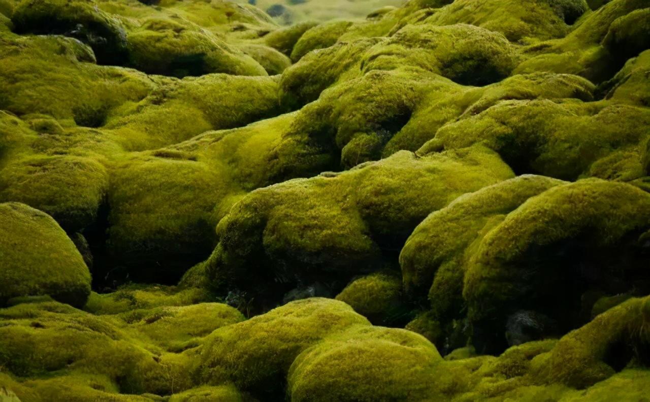 ̦޺֮С磬ͺܺ