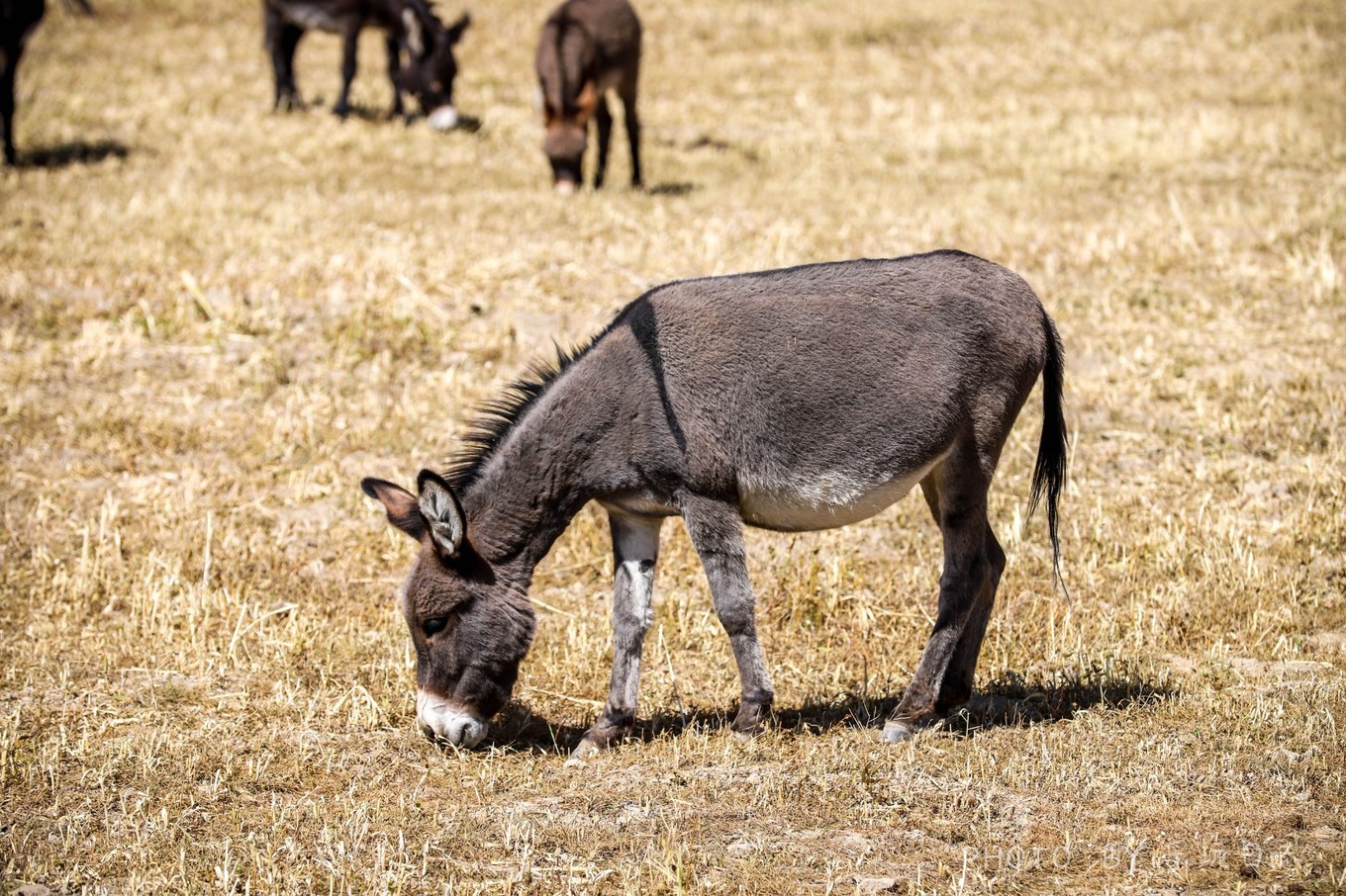 �½����׶���ԭ�����ŵ������������Ծɽ�ۣ�ÿ������������ջ�