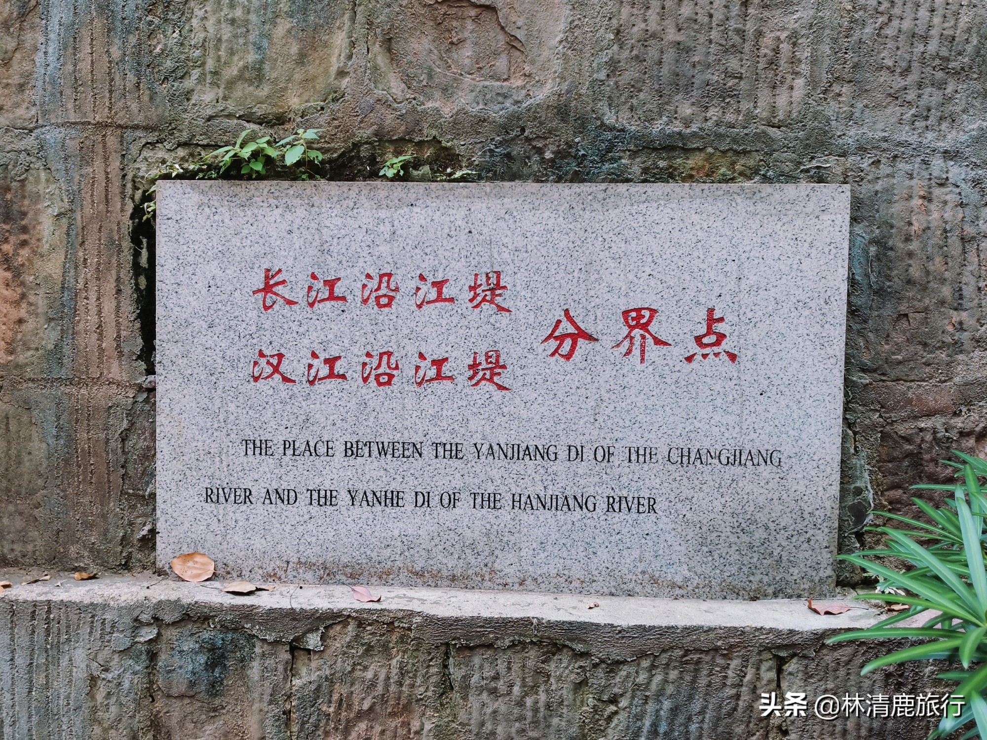 �人Ψһ�ٽ������Ĺ�¥���Ȼƺ�¥�徻������������ѵص�