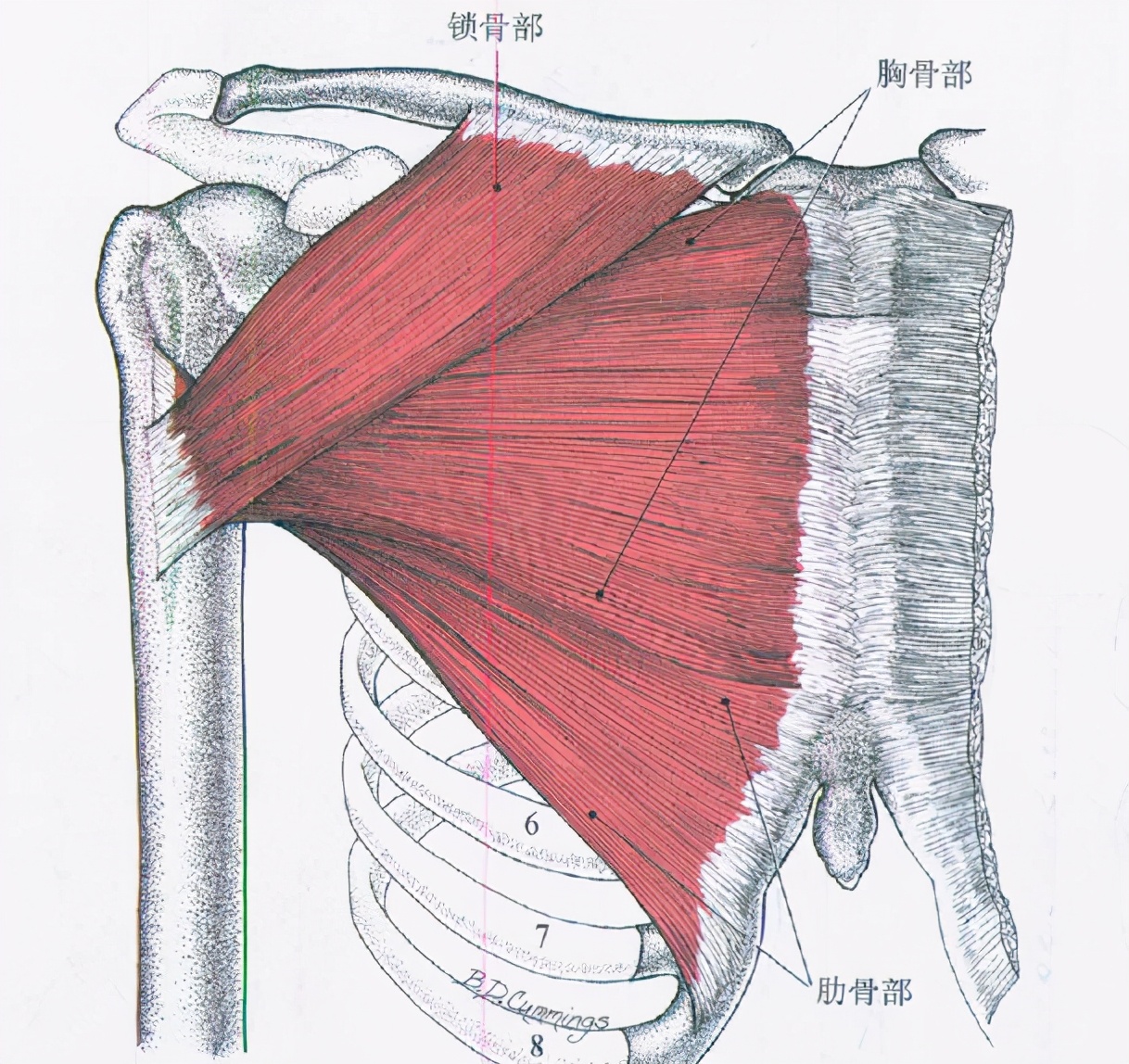 ����֮���е��ۣ�û�뵽һ�������ͱ������ɣ�ҽ�����������ش�