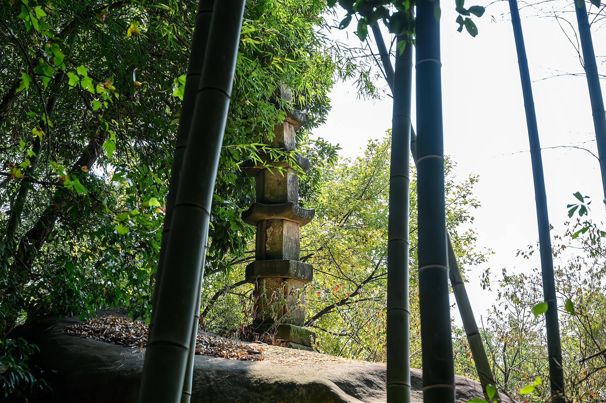 ���ձ����������Ĺ��£����������������1300������ʷ