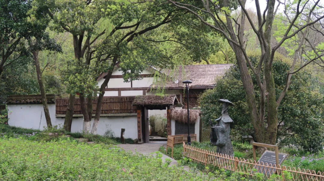 ����48Сʱ������������һ����������