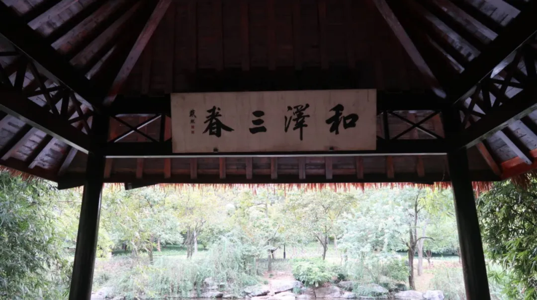 ����48Сʱ������������һ����������