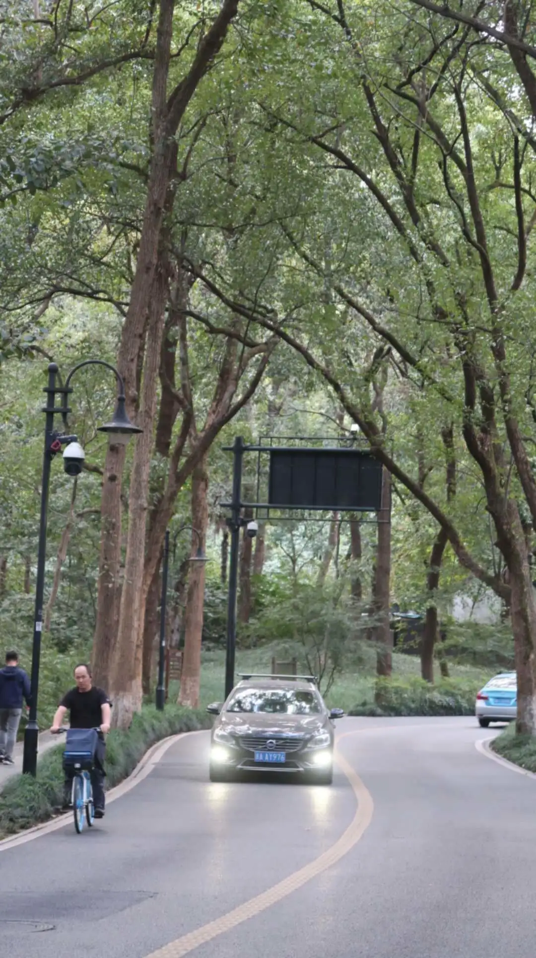 ����48Сʱ������������һ����������