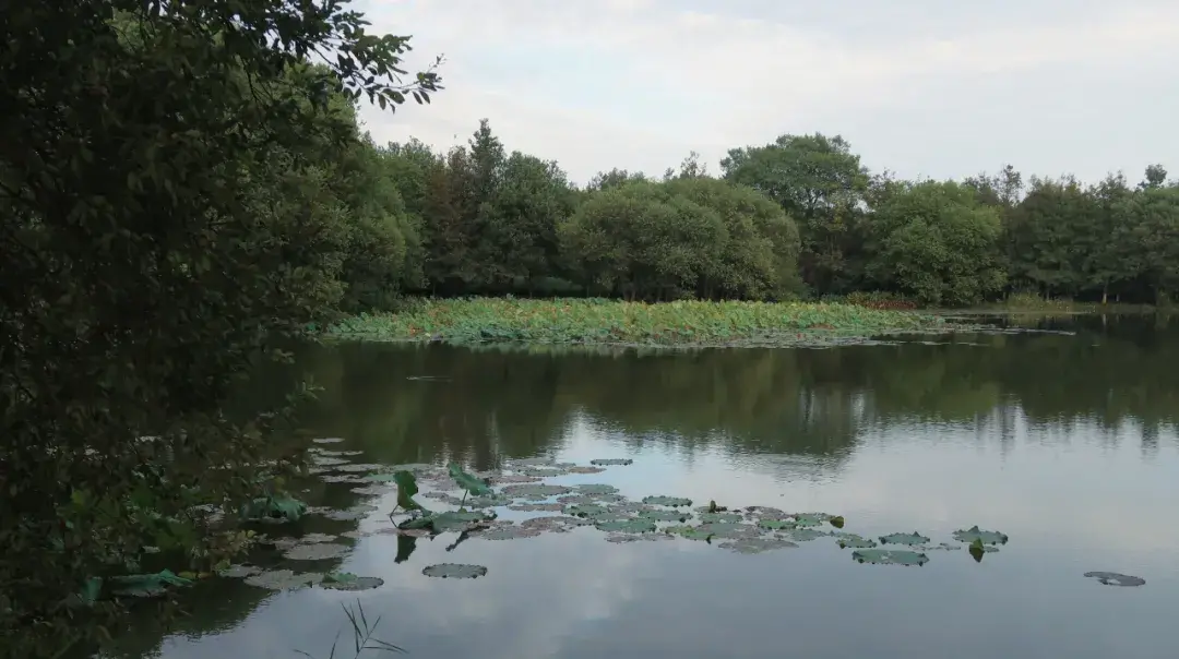 ����48Сʱ������������һ����������