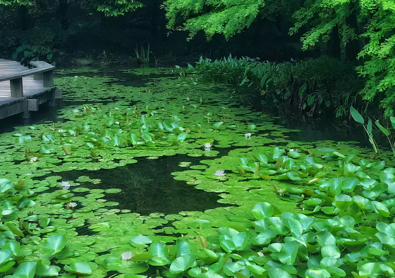 ����48Сʱ������������һ����������