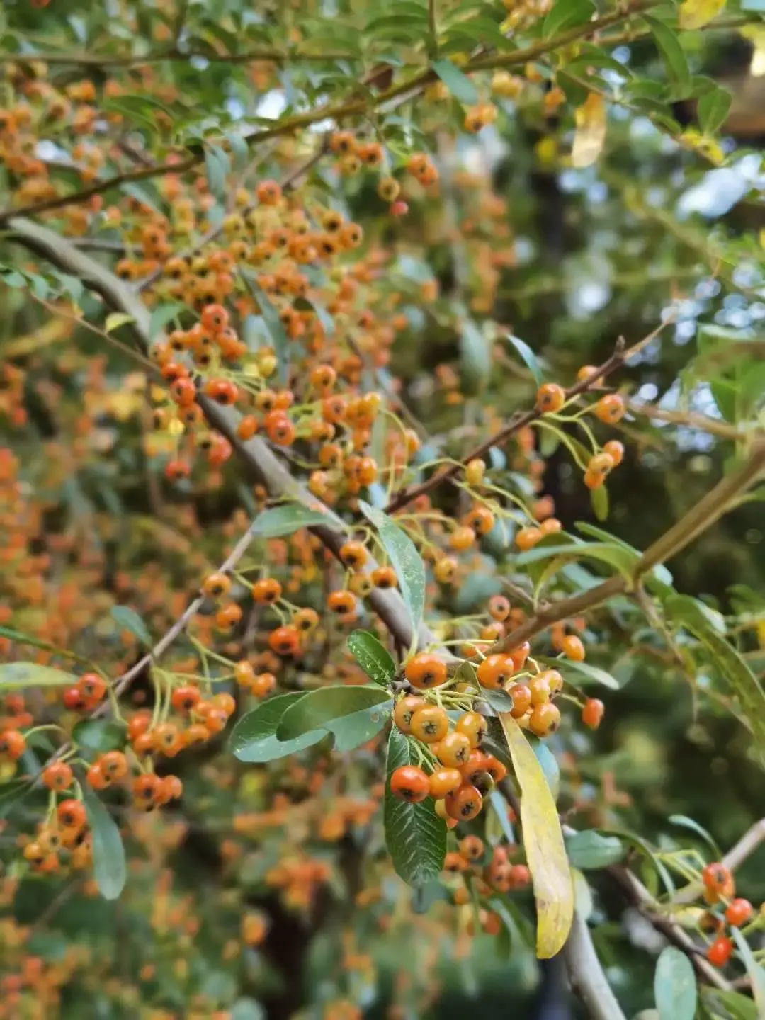 ����48Сʱ������������һ����������