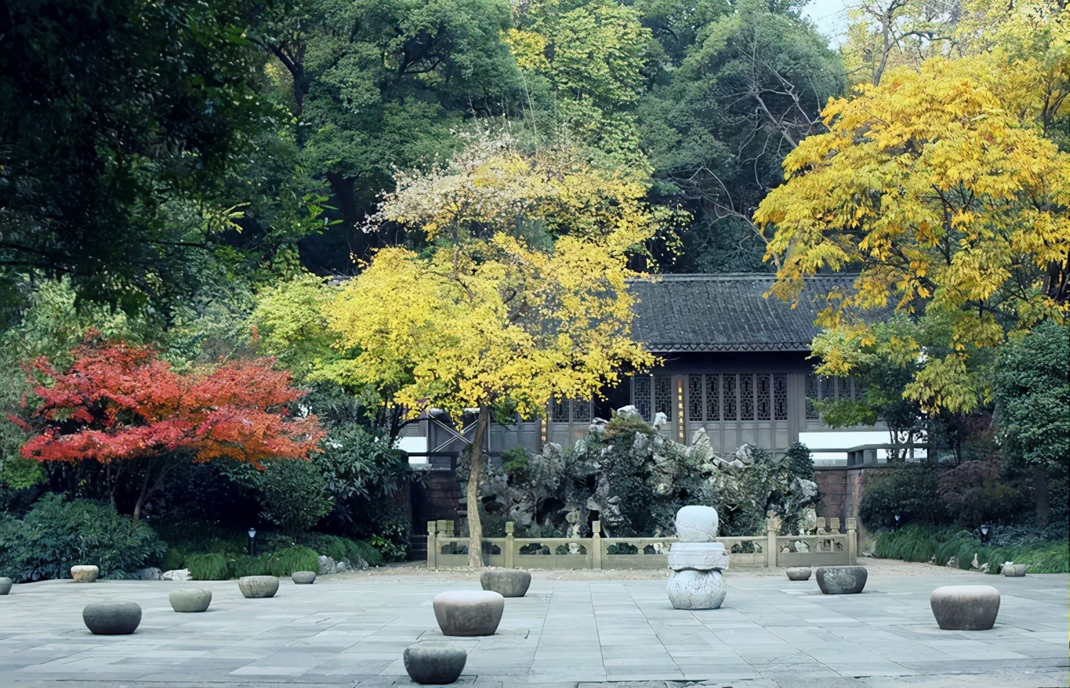 ����48Сʱ������������һ����������