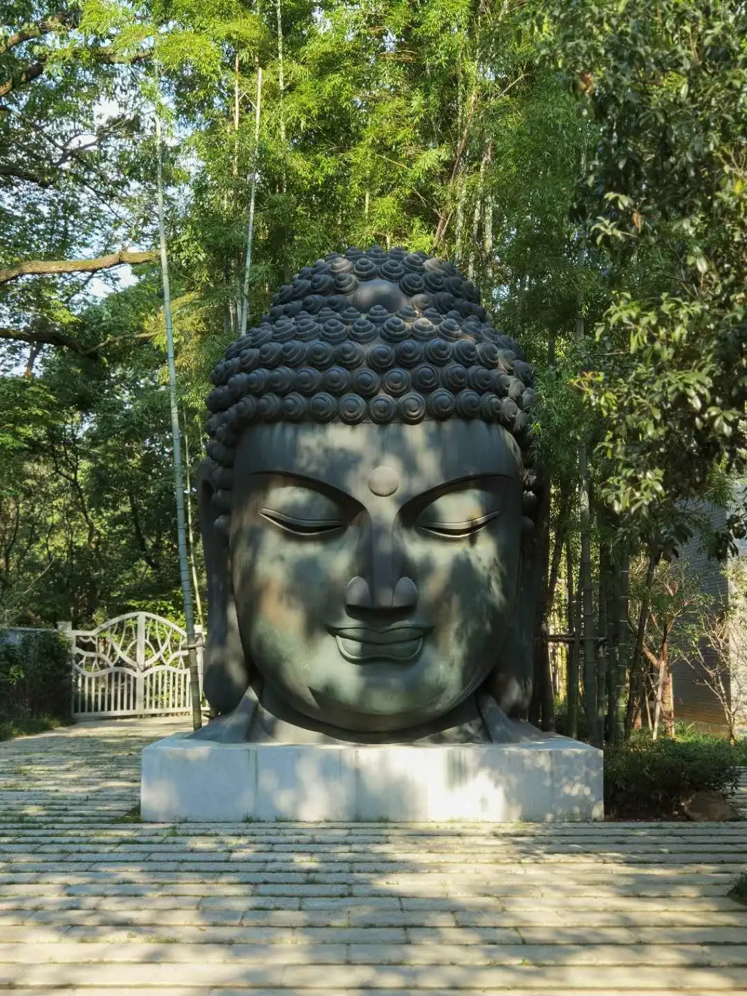 ����48Сʱ������������һ����������