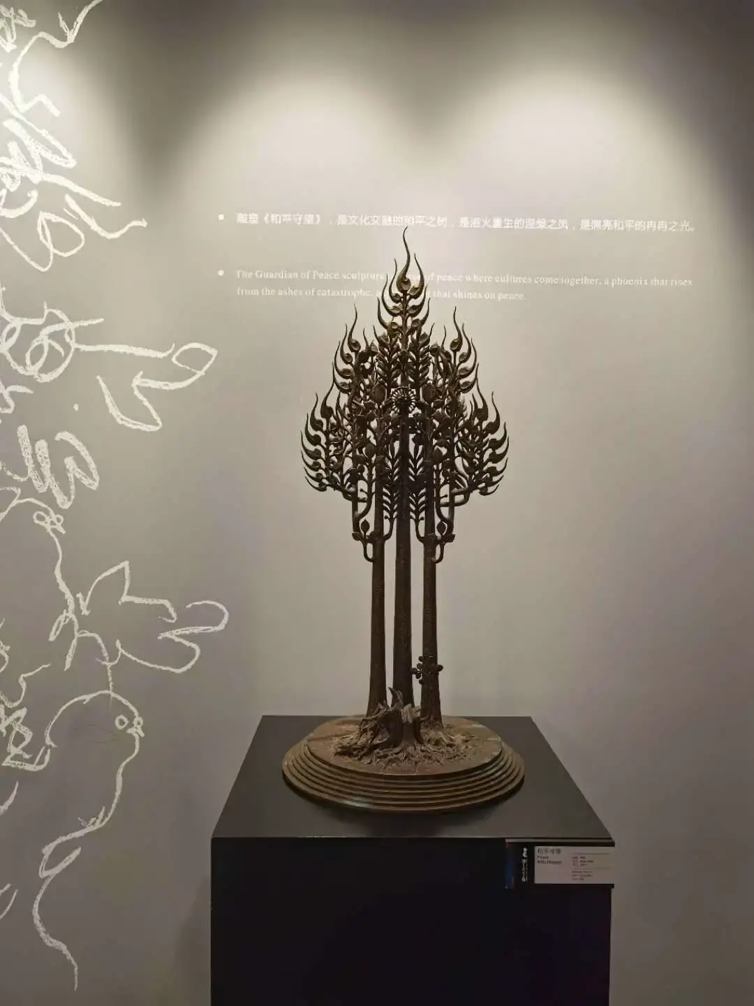 ����48Сʱ������������һ����������