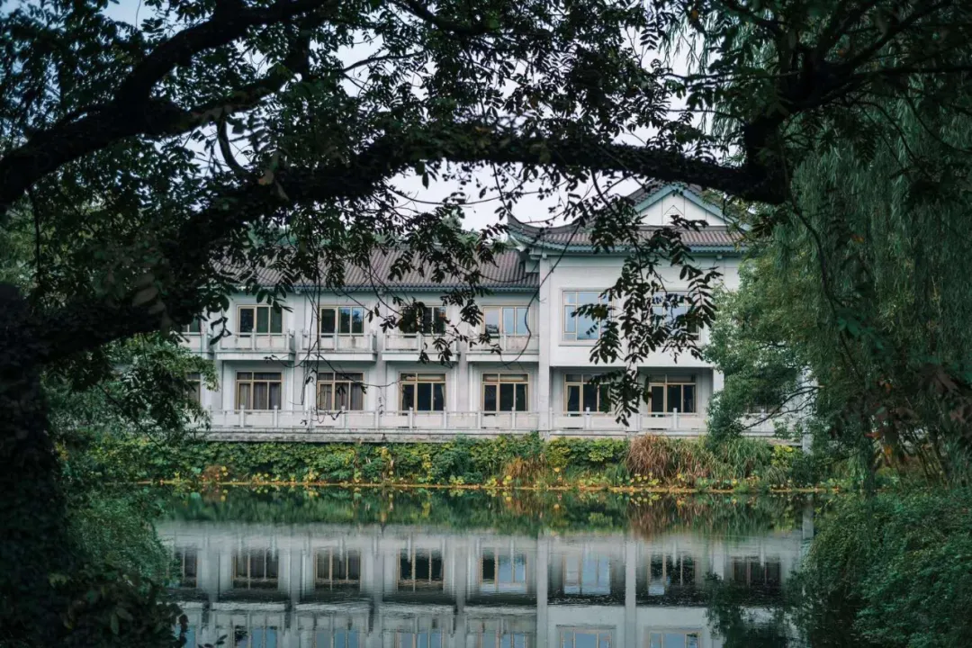 ����48Сʱ������������һ����������