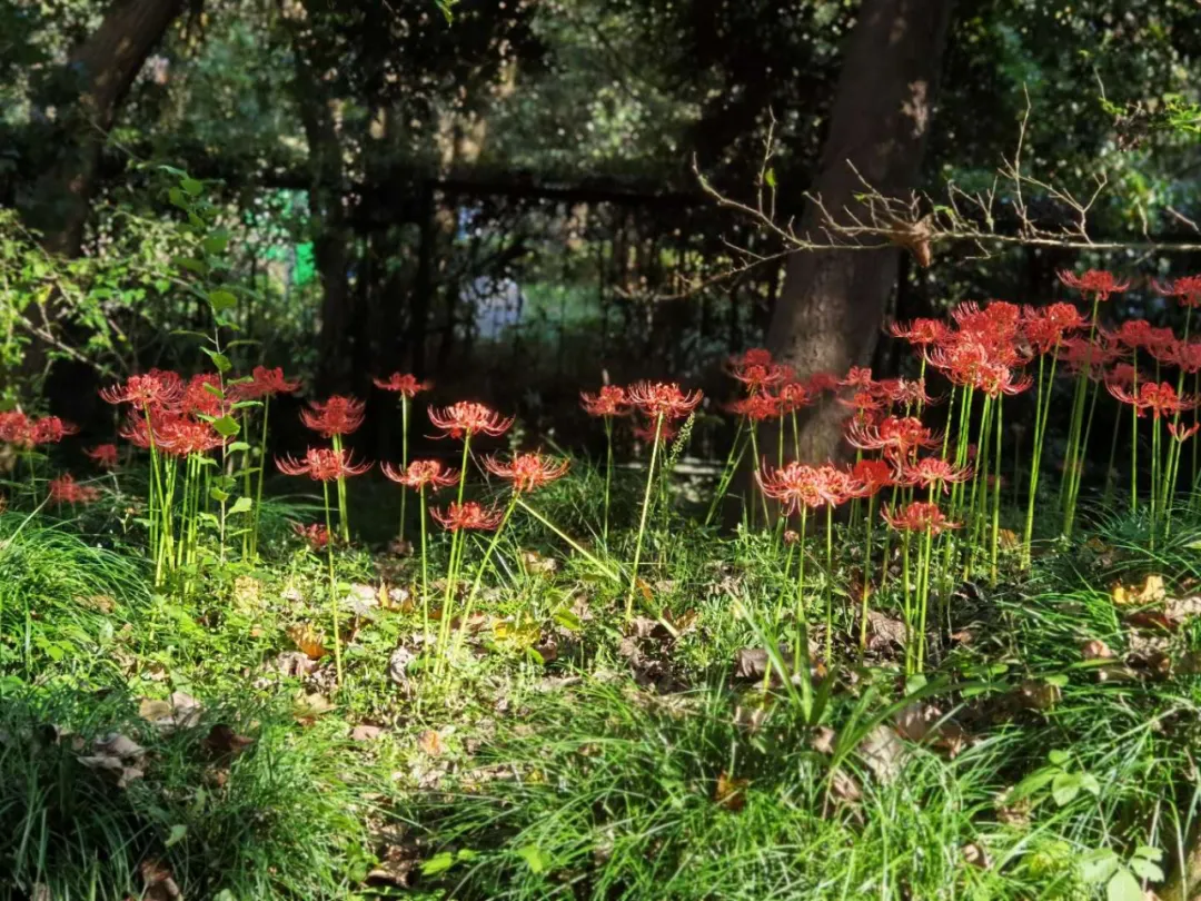 ����48Сʱ������������һ����������