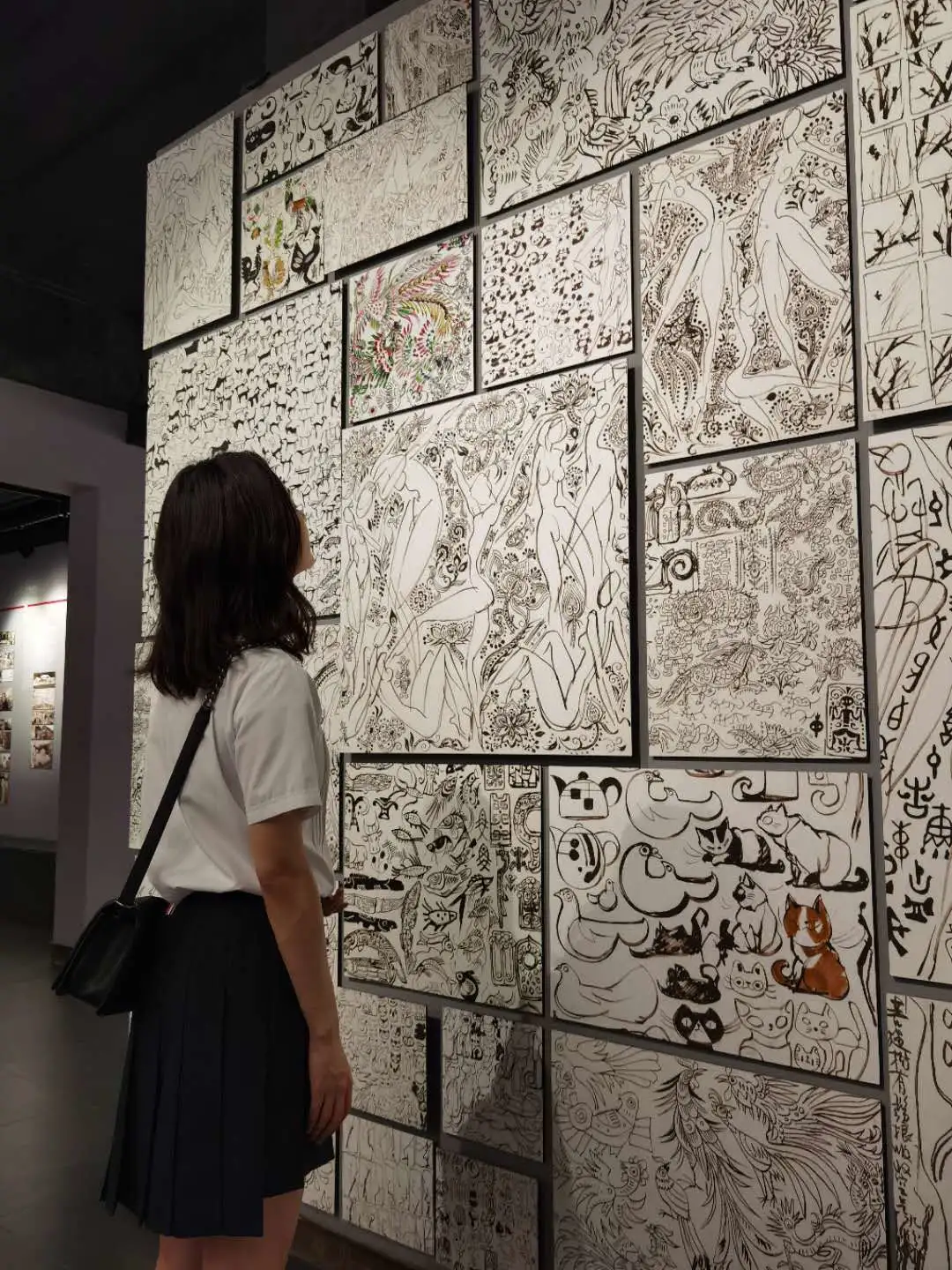 ����48Сʱ������������һ����������