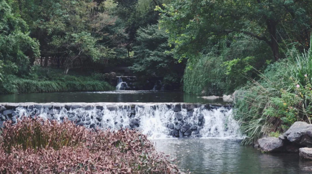 ����48Сʱ������������һ����������