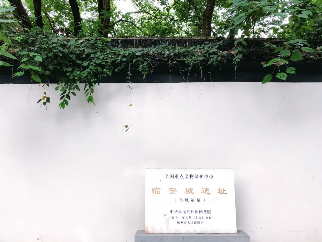 ����48Сʱ������������һ����������