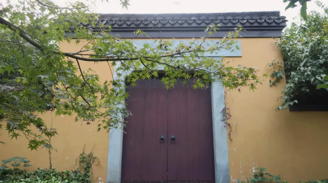 ����48Сʱ������������һ����������