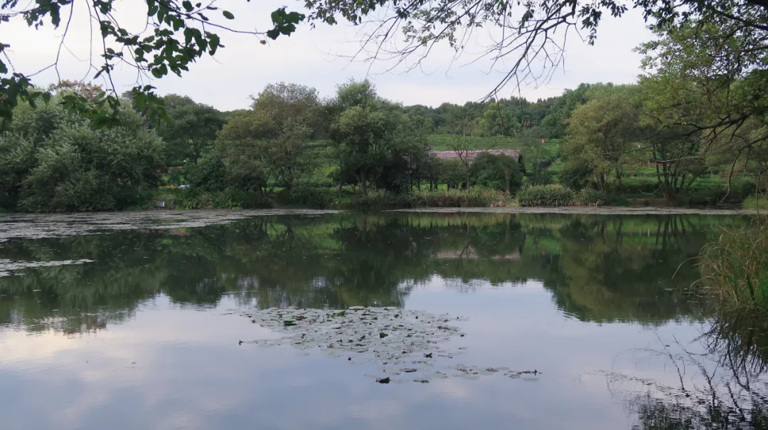 ����48Сʱ������������һ����������