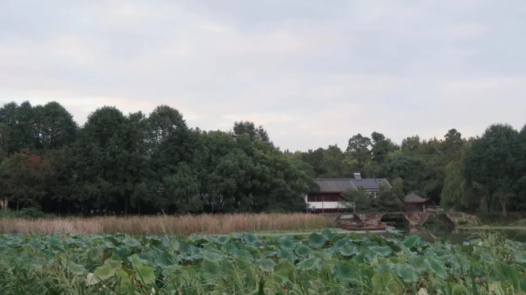 ����48Сʱ������������һ����������