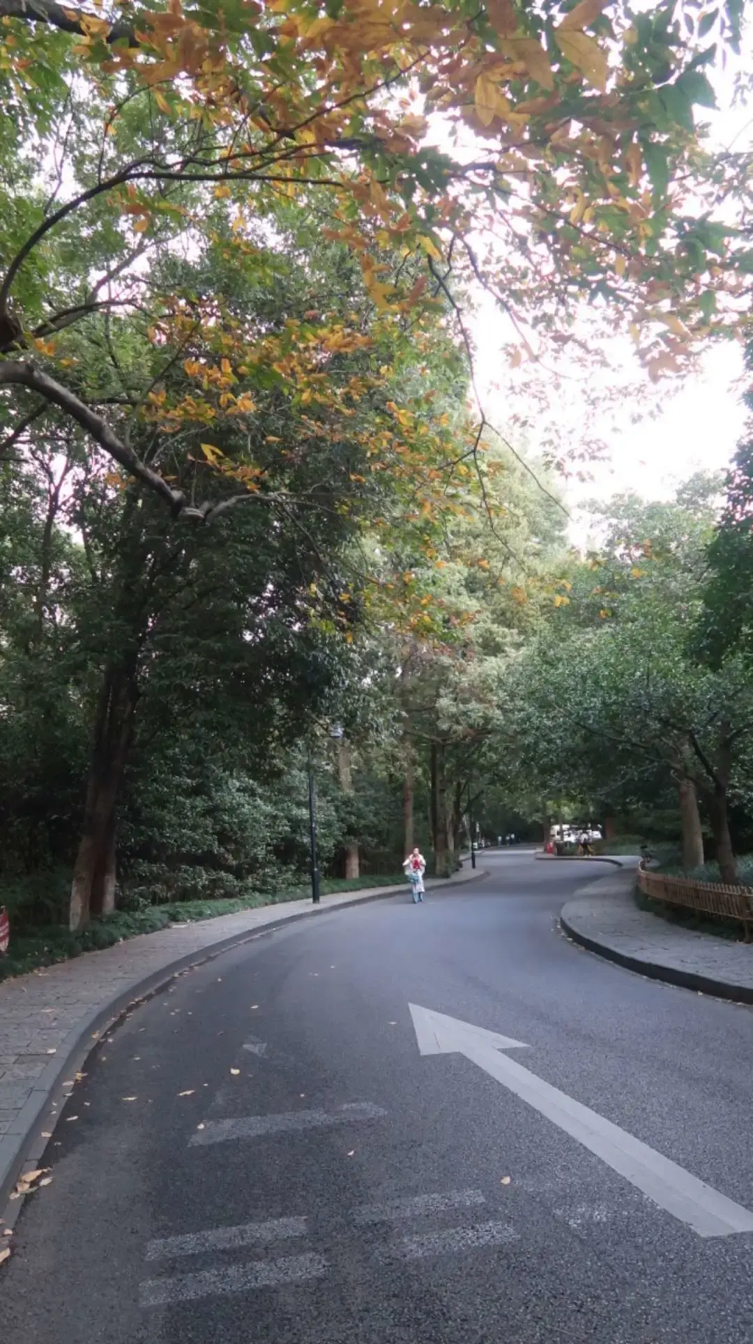 ����48Сʱ������������һ����������