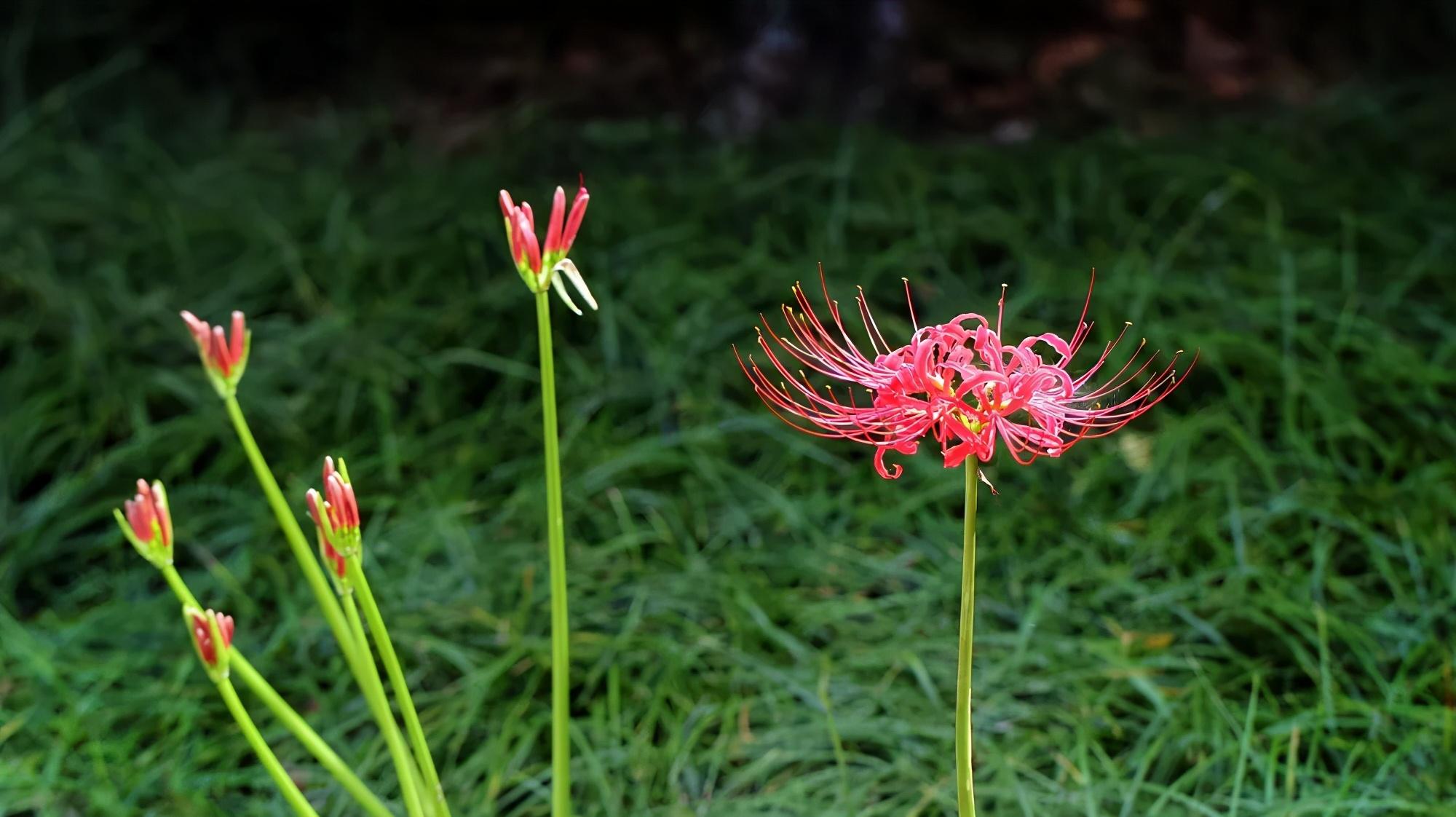 ����48Сʱ������������һ����������