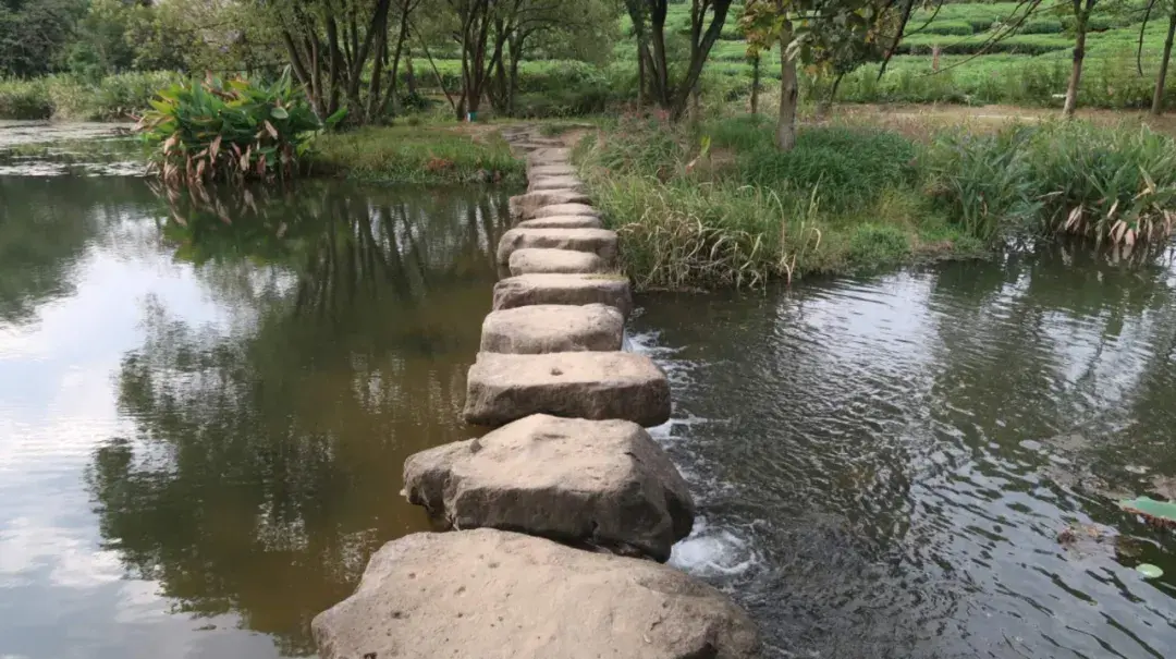 ����48Сʱ������������һ����������