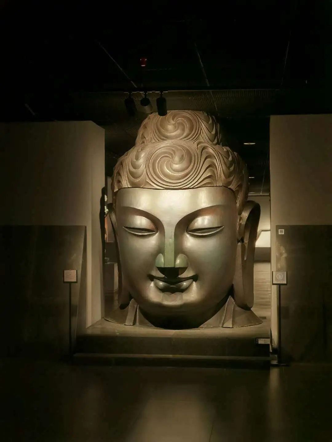 ����48Сʱ������������һ����������