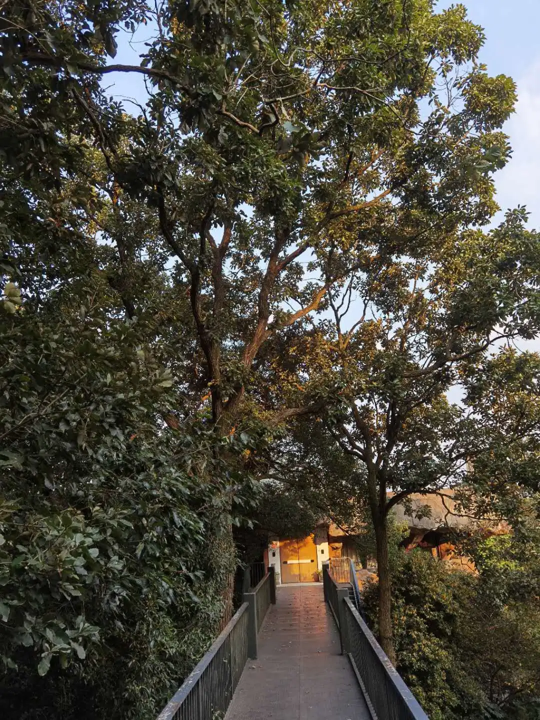 ����48Сʱ������������һ����������