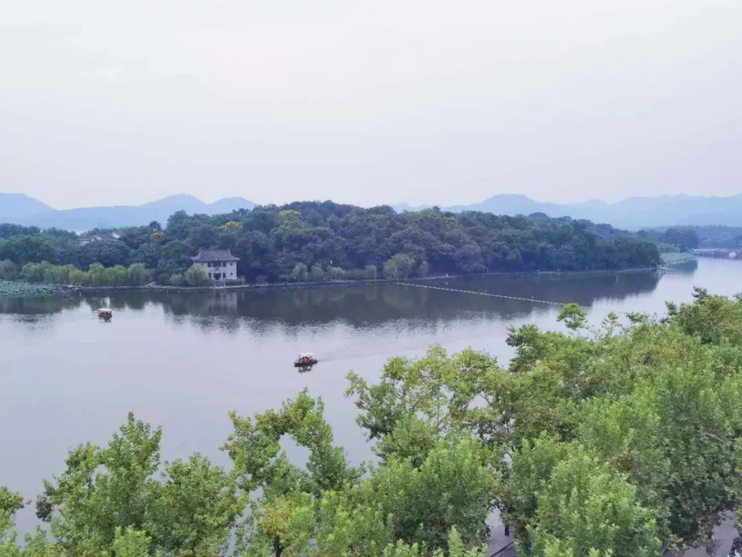 ����48Сʱ������������һ����������