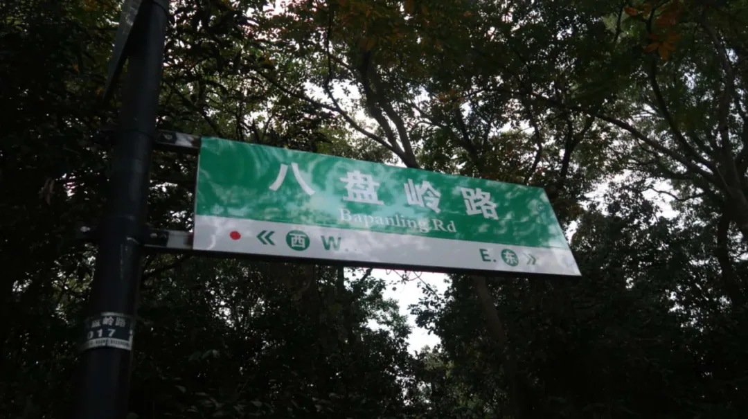 ����48Сʱ������������һ����������