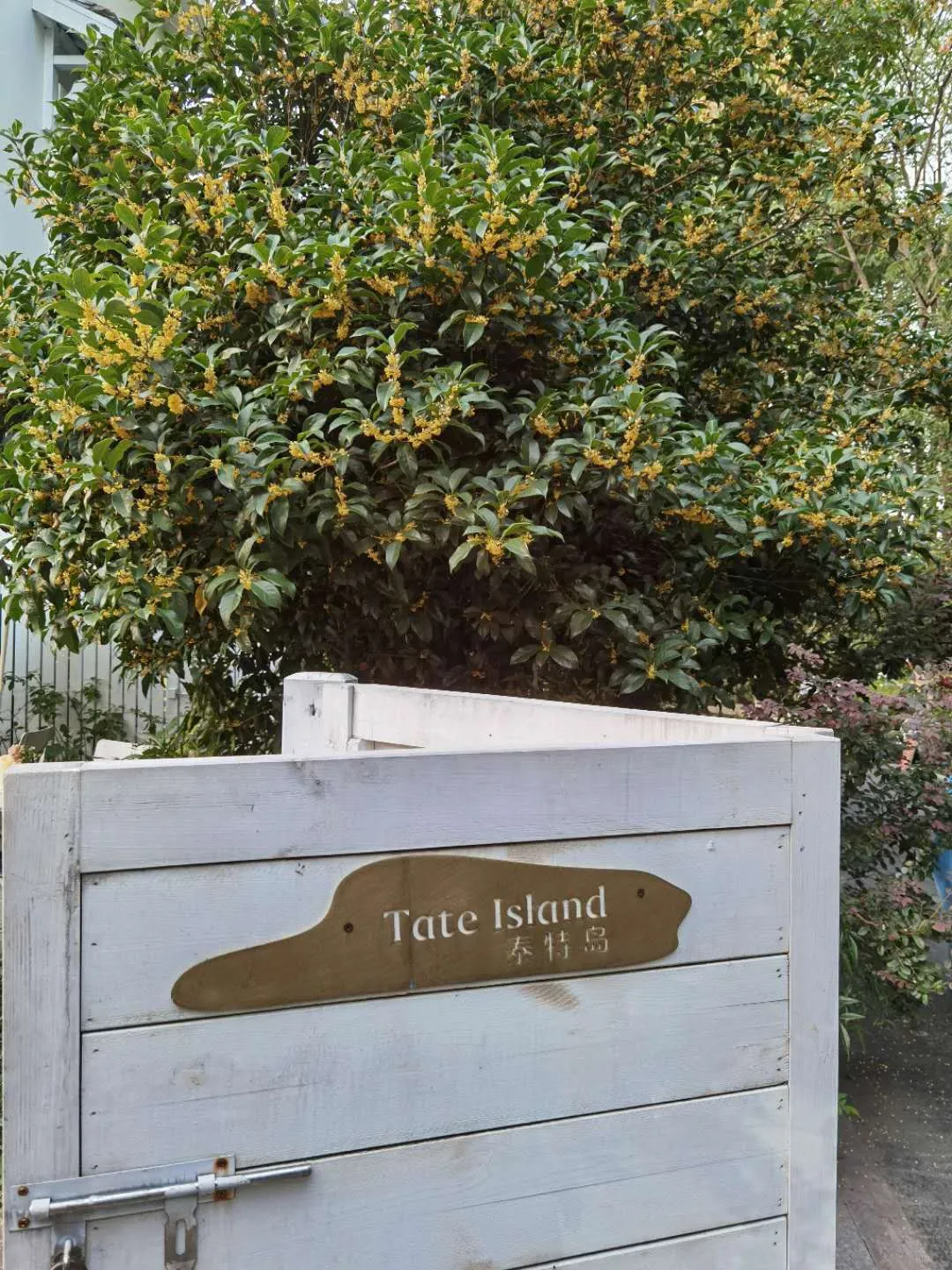 ����48Сʱ������������һ����������