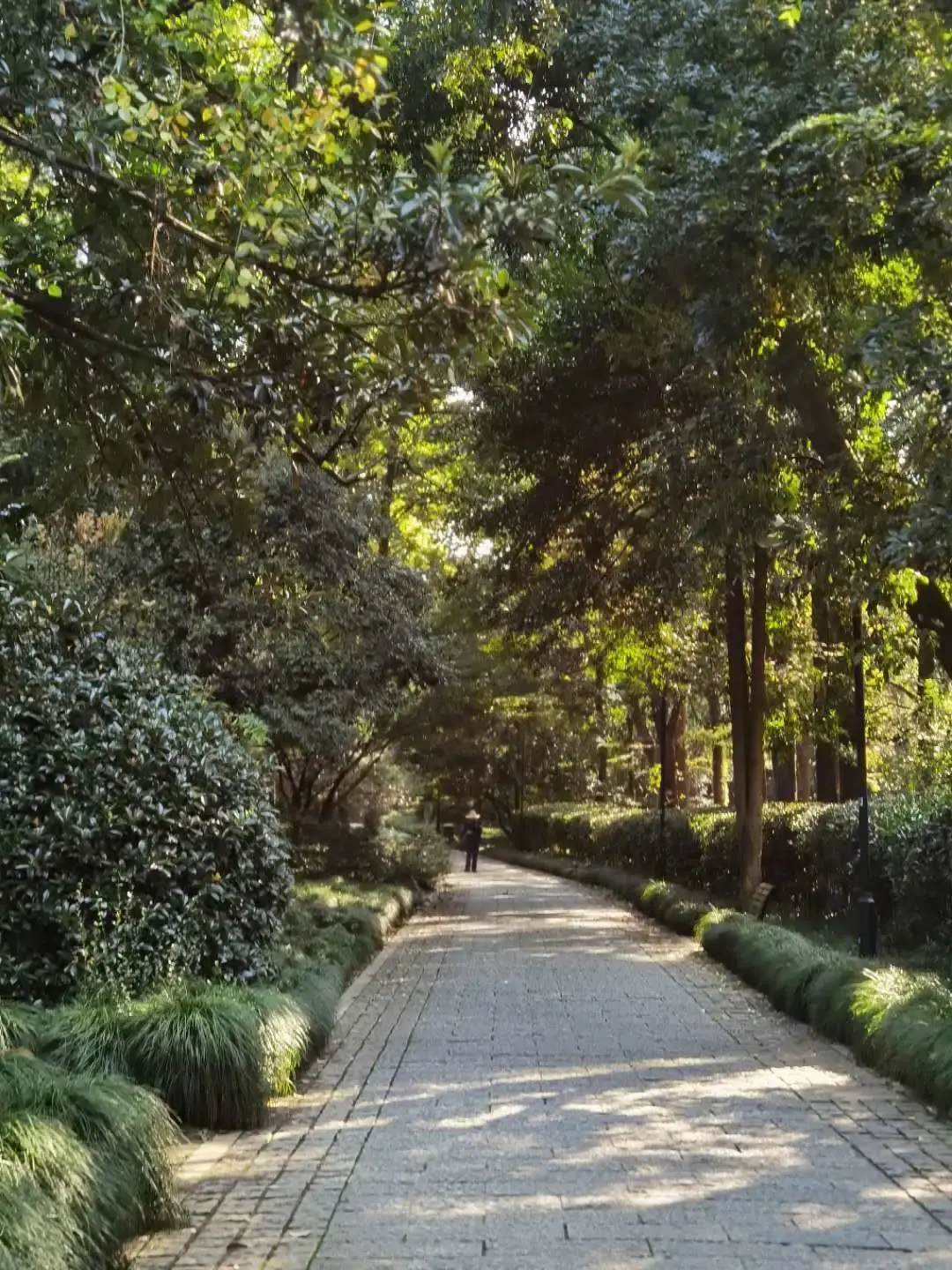 ����48Сʱ������������һ����������