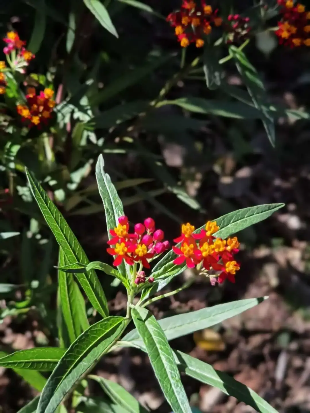 ����48Сʱ������������һ����������