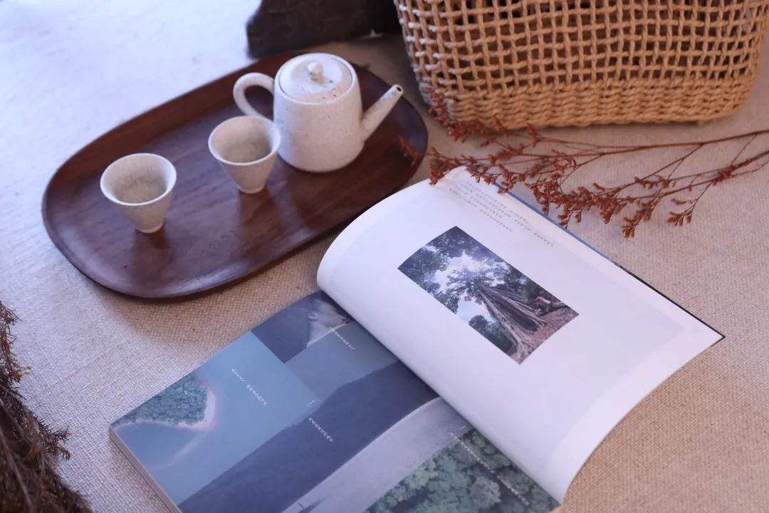 ��˫���ɲ���������ᷦζ