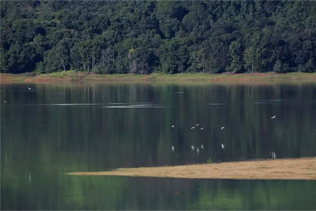 西双版纳不相信生活会乏味