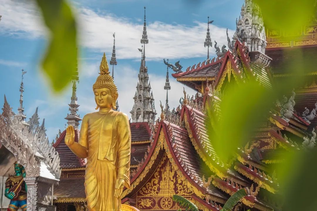 西双版纳不相信生活会乏味