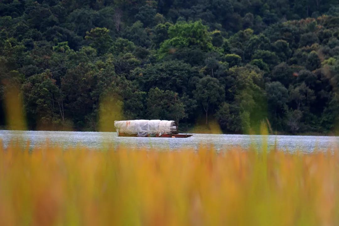 ��˫���ɲ���������ᷦζ