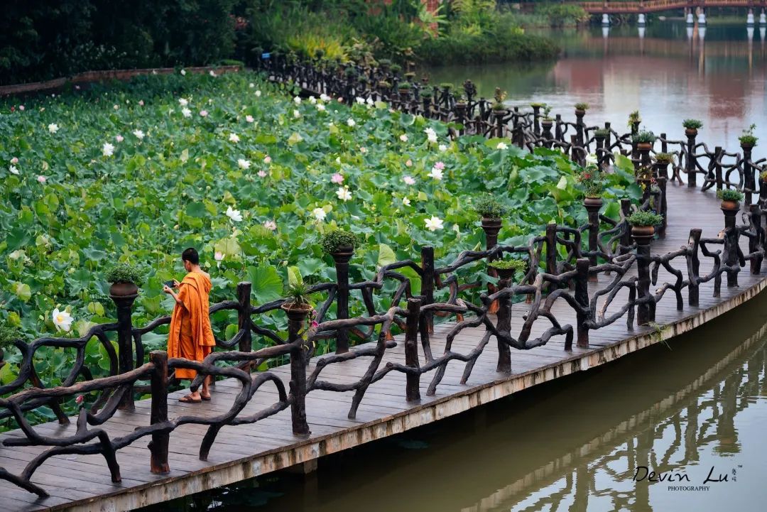 ��˫���ɲ���������ᷦζ